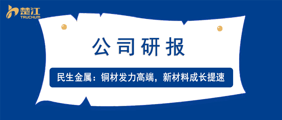 迪拜皇宫官网研报：【民生金属】铜材发力高端，新资料成长提速